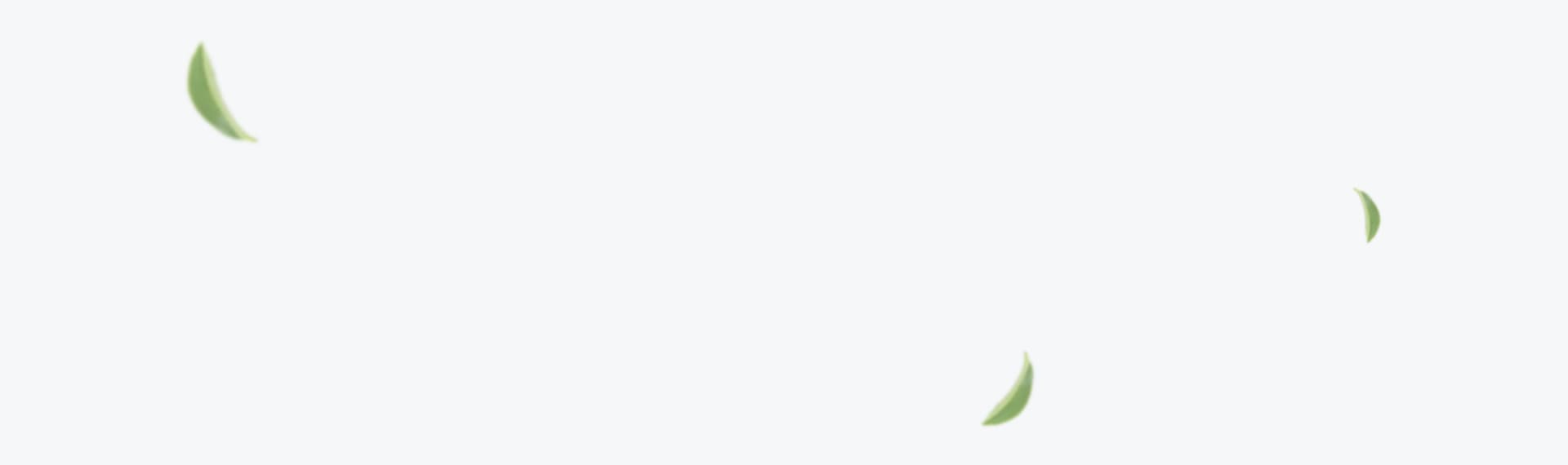 Fundo Folhas
